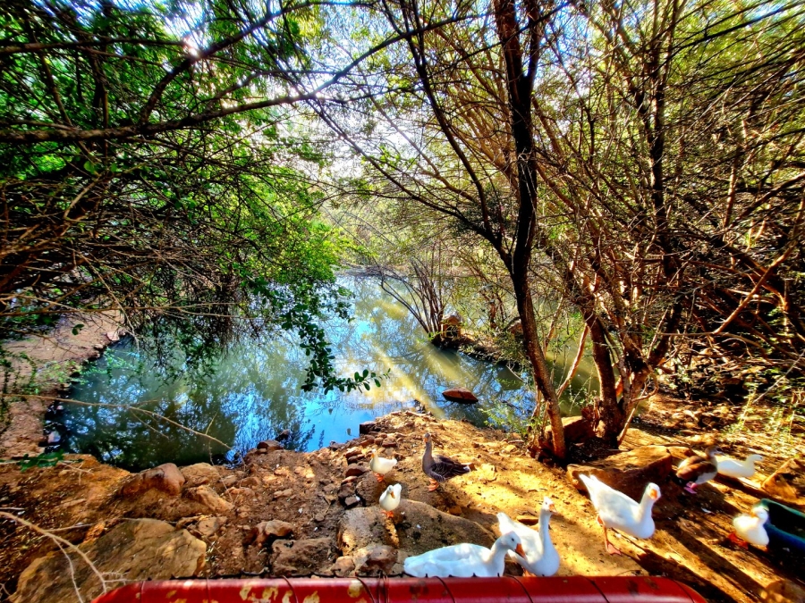 Commercial Property for Sale in Quaggafontein Free State